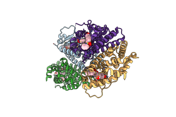 8VYT image