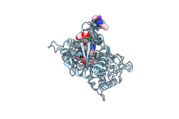 8VZ7 image