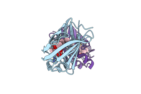 8VZZ image