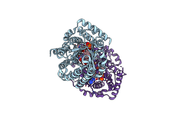8W0K image