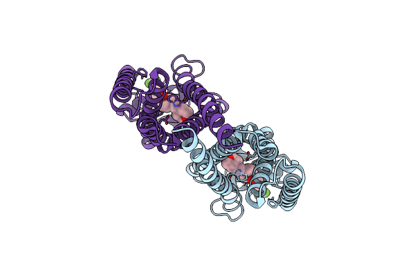 8W0R image