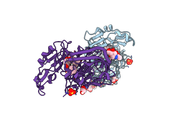 8W10 image
