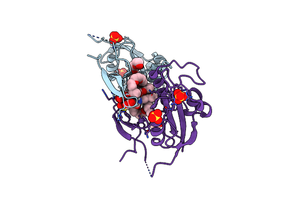 8W11 image