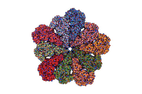 8W1C image