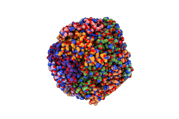 8W1F image