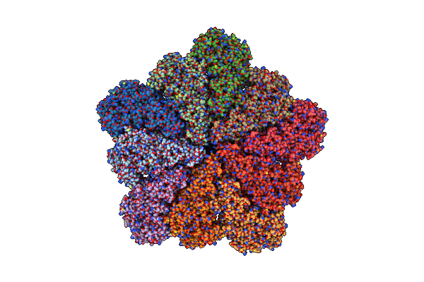 8W1R image