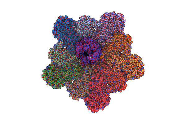 8W1S image