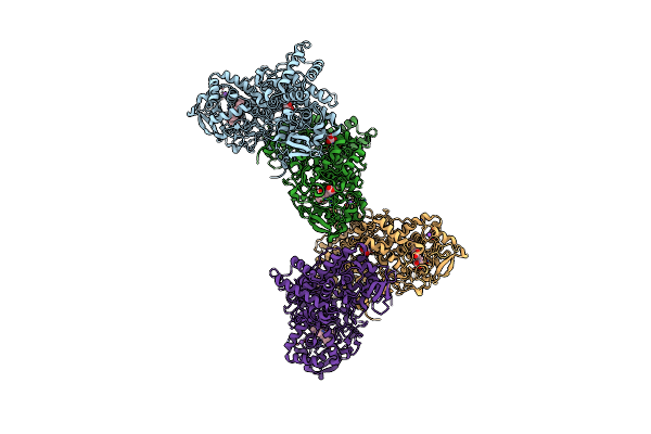 8W1Y image