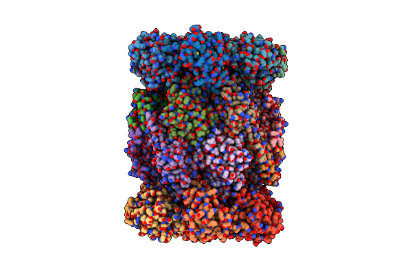 8W2F image