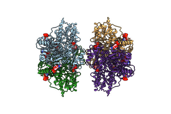 8W2H image