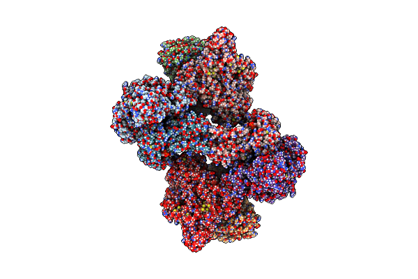 8W2I image