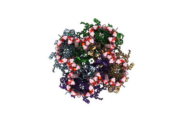 8W2L image