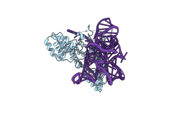 8W2S image