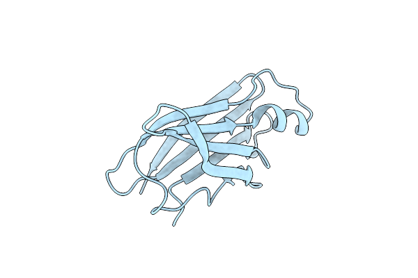 8W2W image