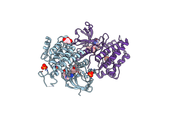 8W2X image