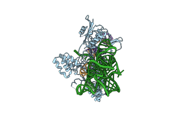 8W2Z image