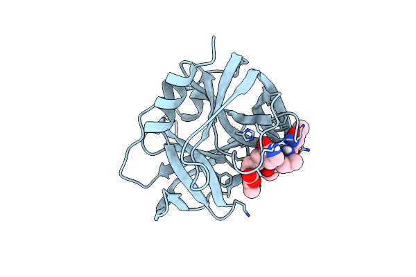 8W3C image