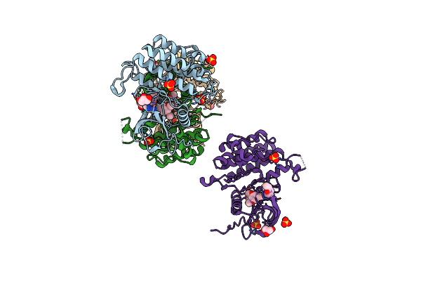 8W3D image