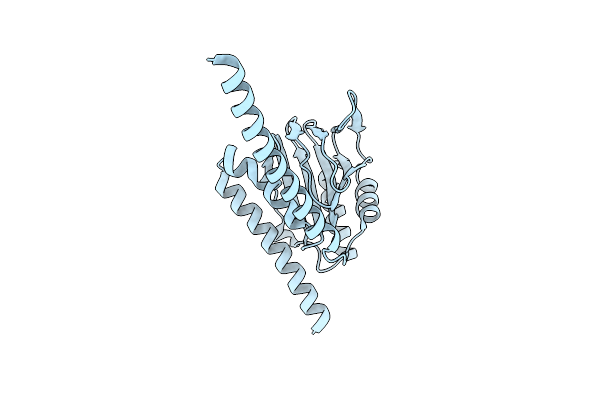 8W4D image