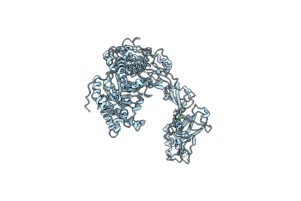 8W4G image