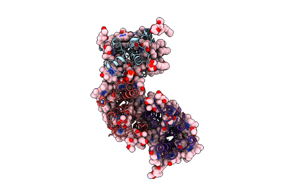 8W4O image