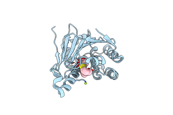 8W4V image