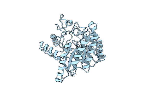 8W4Y image