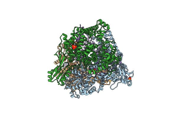 8W50 image