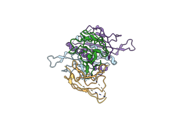 8W5D image