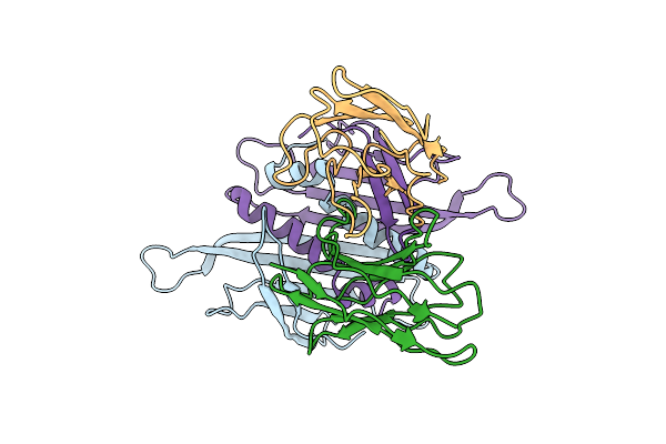 8W5F image