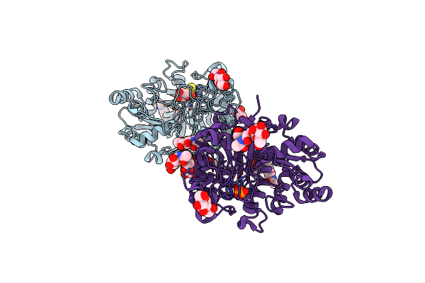 8W6P image