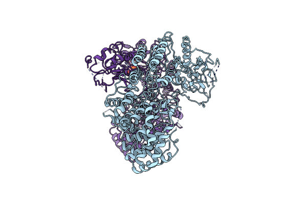 8W7A image