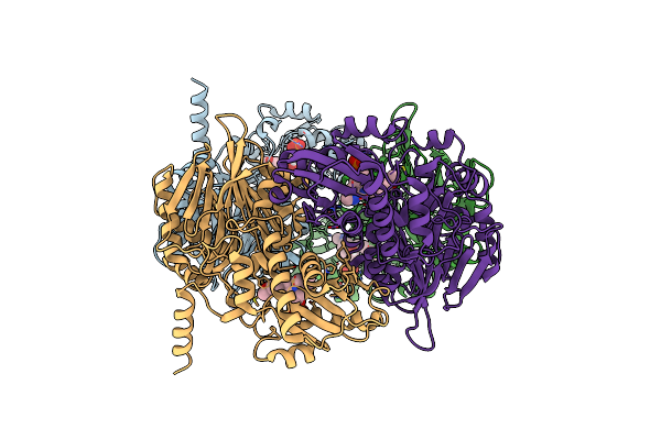 8W7D image
