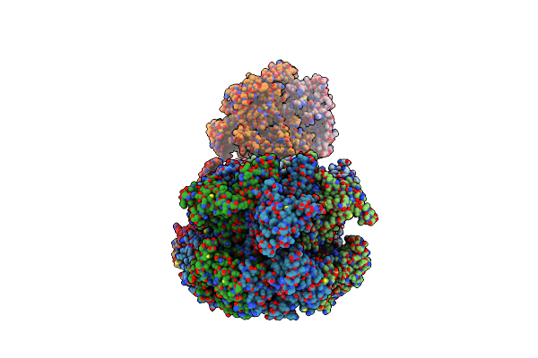 8W7M image