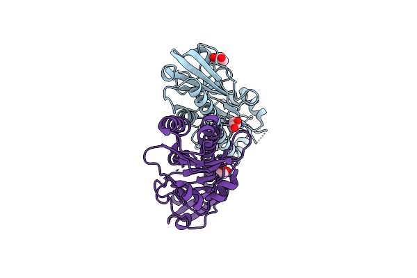 8W7P image