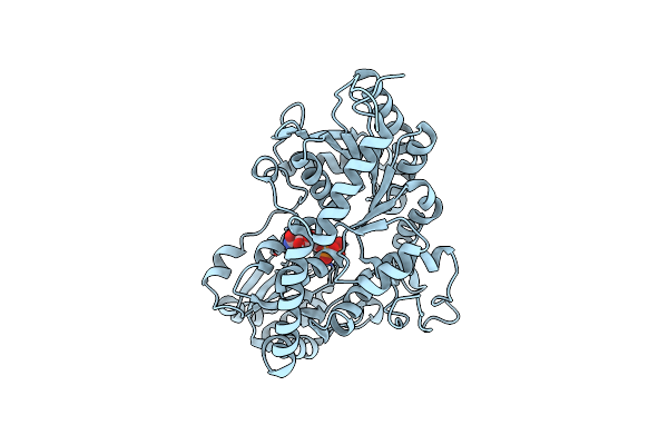 8W7Y image