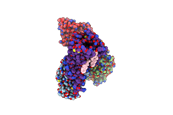 8W8B image