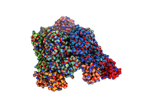 8W8D image
