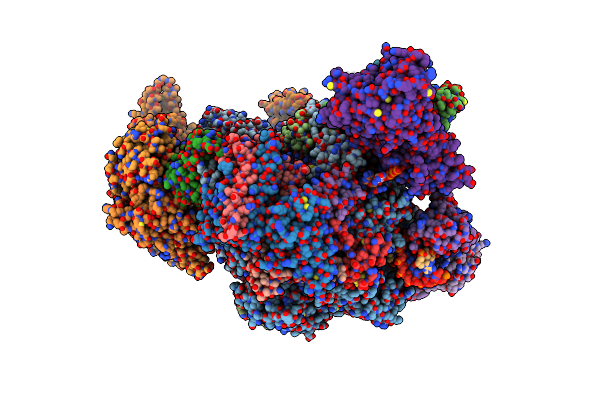 8W8E image
