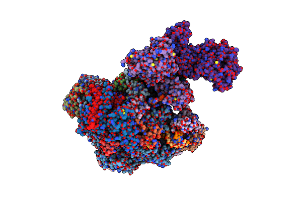 8W8F image