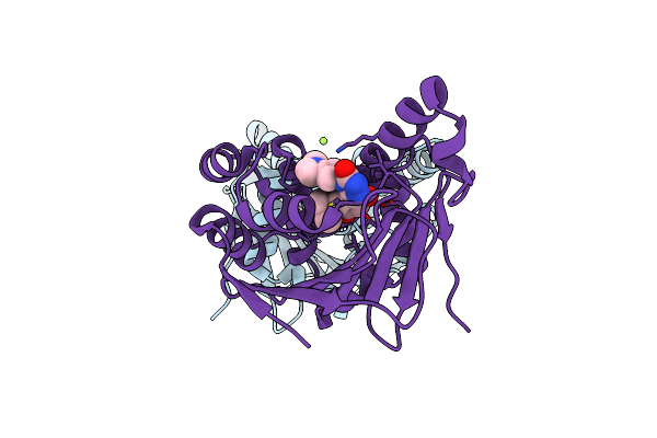 8W8K image