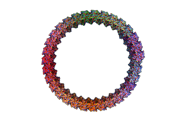 8W8M image