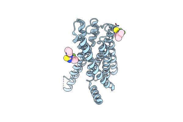 8W8S image