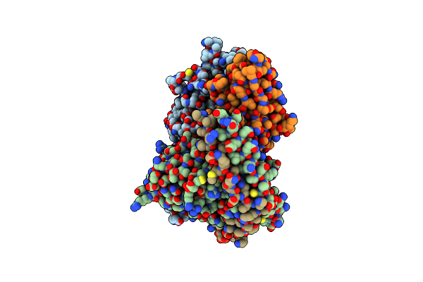 8W8X image