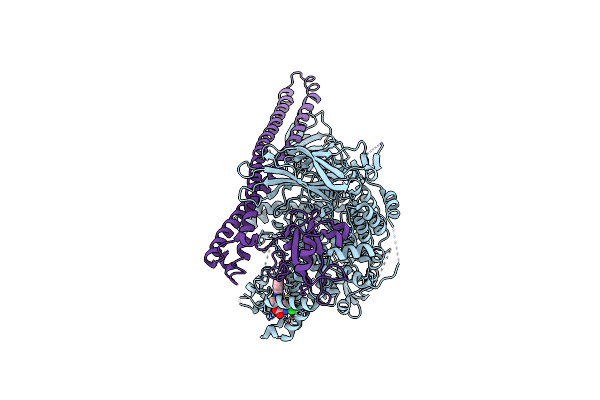 8W9A image
