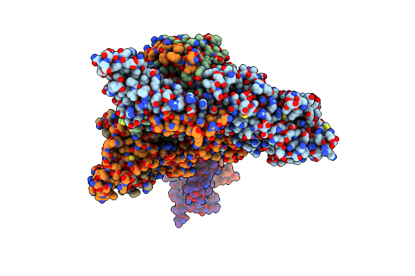 8W9C image