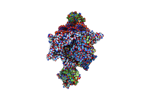 8W9D image