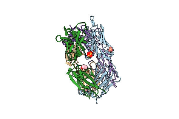 8W9H image