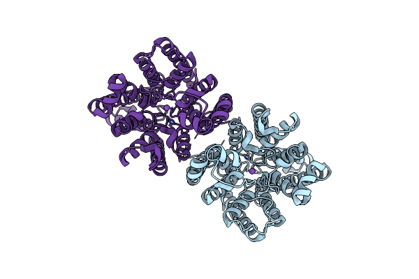 8W9T image