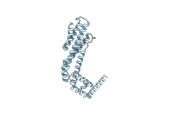 8WAF image